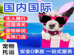 凤凰空运地址国际宠物托运 【国